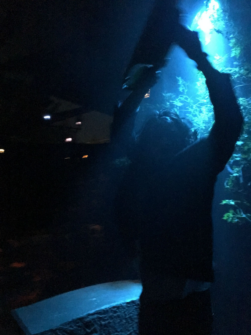 Somehow I snapped this ominous image of Leatherface running at us.
